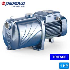 Pompe électrique triphasée multiturbine 5CP 80-I - 1 CV Pedrollo - 1