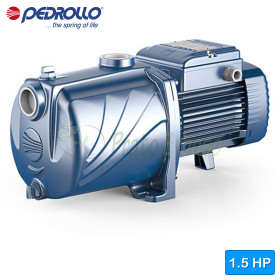 5CP 100-I – 1,5 PS dreiphasige Elektropumpe mit mehreren Laufrädern Pedrollo - 1 5CP 100-I – 1,5 PS dreiphasige Elektropumpe mit mehreren Laufrädern Pedrollo - 1