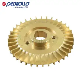 860GRPK62 - Shtytës periferik Pedrollo - 1