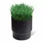 COPA SOD - soporte para césped