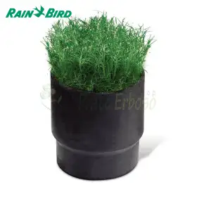 SOD CUP - Portazolle
