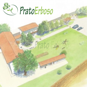 Progetto di irrigazione per prato fino a 1000 mq