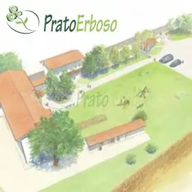 Projet d'irrigation pour pelouses jusqu'à 1000 m2
