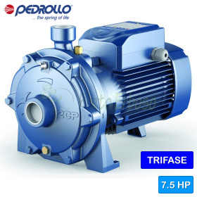 2CP 40/180B - Electrobomba centrífuga trifásica de doble turbina de 7,5 CV Pedrollo - 1
