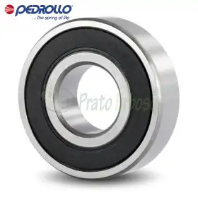 6204 2RS-C3E - Roulement à billes 20x47x14 mm Pedrollo - 1