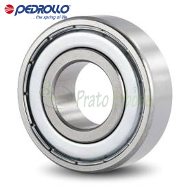 6305 - Rulment cu bile 25x62x17 mm Pedrollo - 1