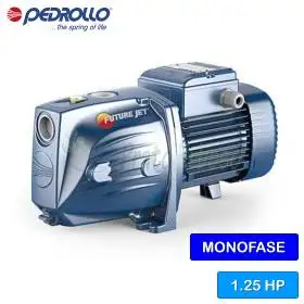 FUTURE JETm 2A - Pompe électrique auto-amorçante monophasée 1,25 CV
