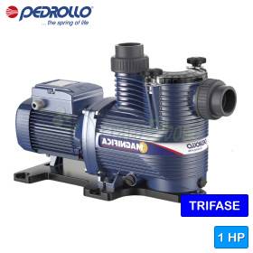 MAGNIFICA 2 - 1 PS dreiphasige elektrische Poolpumpe