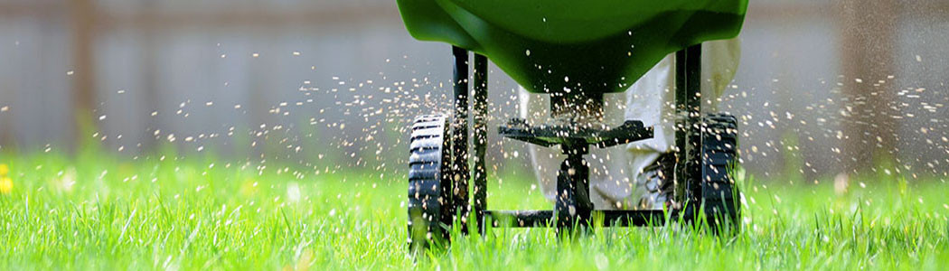Fertilizzanti per prato