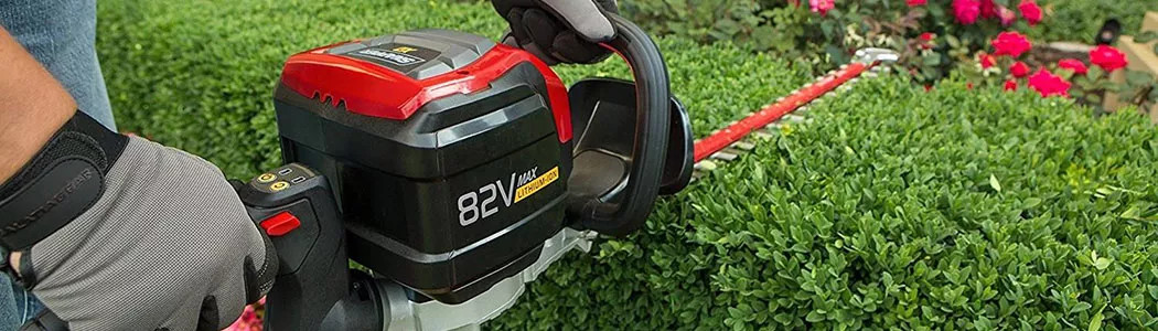 Tagliasiepi a batteria