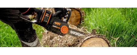 Tree and plant care